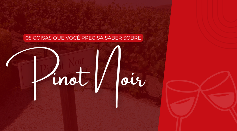 05 coisas que você precisa saber sobre a Pinot Noir!