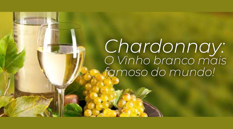 Chardonnay: O Vinho branco mais famoso do mundo!