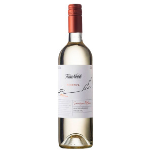 Vinho Terranoble Reserva Sauvignon Blanc